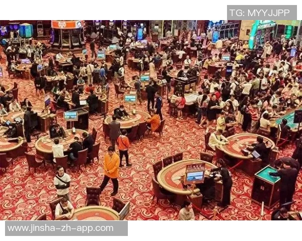 澳门金沙赌场js838-澳门金沙赌场js838，深度解析与体验分享-澳门金沙赌场js838